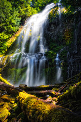 Fototapeta na wymiar Proxy Falls, Willamette National Forest, Oregon