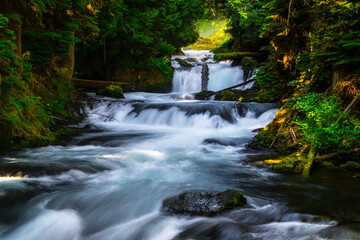 McKenzie River Cascades, Willamette National Forest, Oregon