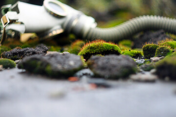 life continues after the pandemic