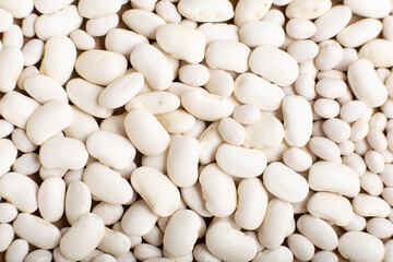 White beans background, common beans top view. Vegan protein source
