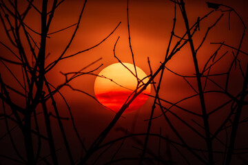 Beautiful orange egg yolk sunset.
