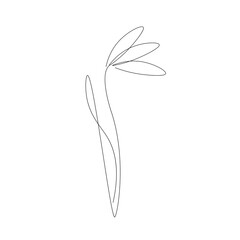 Spring flower line draw, vector illustration