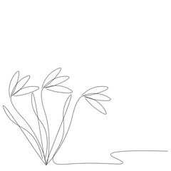 Spring flowers line draw, vector illustration