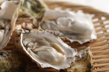 Obraz na płótnie Canvas 冬の海の味覚の殻付きの牡蠣