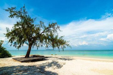 tree on sea beach at Koh MunNork Island, Rayong, Thailand