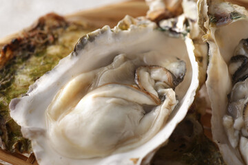 冬の海の味覚の殻付きの牡蠣