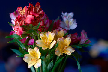 Beautiful bouquet of flowers alstroemeria