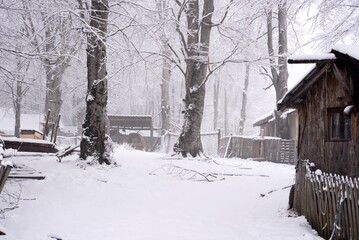 winter in the village