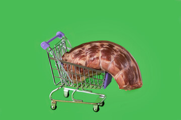 Piece of raw meat in supermarket trolley on green background