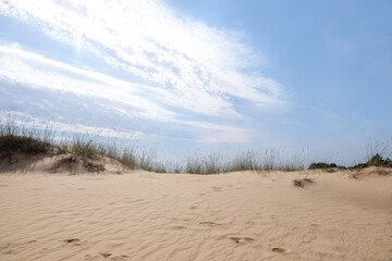 Fototapeta na wymiar Dry sand with human footprints in desert on sunny day