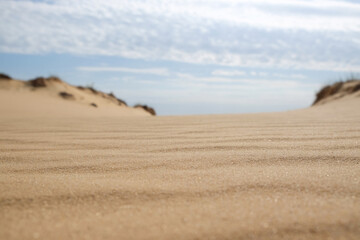 Fototapeta na wymiar Dry sand in desert on sunny day
