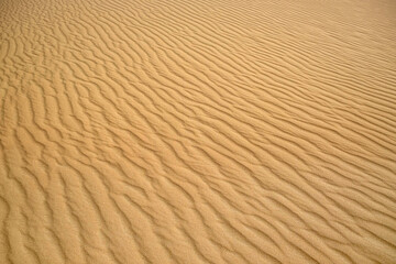Beautiful view of rippled sandy surface in desert as background