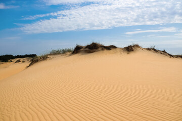 Picturesque landscape of desert on sunny day