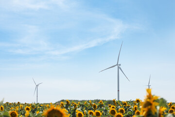 Modern wind turbine in sunflower field. Energy efficiency