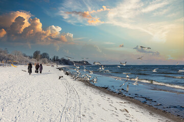 Baltic sea winter beach
