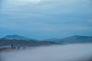 Atmospheric mountain landscape with green hills above clouds and blue cloudy sky. Minimal alpine scenery with big low cloud in mountains. Dense fog under hills with trees. Early morning in mountains.
