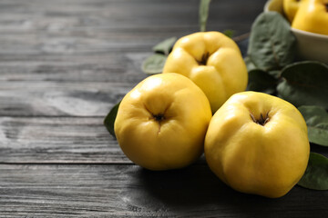 Fresh ripe organic quinces with leaves on black wooden table, closeup. Space for text
