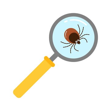 tick magnified by yellow magnifying glass clip art preview