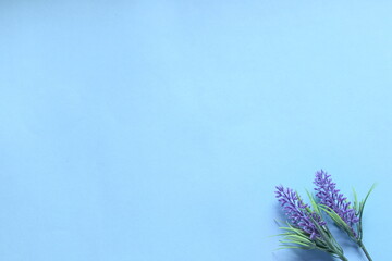 Top view of purple artificial lavender on blue background