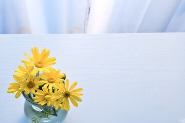Top view of bouquet of yellow cosmos flowers on table, white curtain background