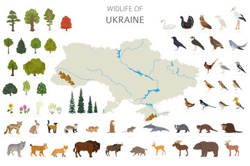 Flat design of Ukraina wildlife. Animals, birds and plants constructor elements isolated on white set. Build your own geography infographics collection - obrazy, fototapety, plakaty