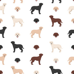 Labrador retriever dogs in different poses and coat colors. Seamless pattern.