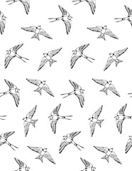 Swallow and House Martin birds vector pattern, hand drawn seamless background