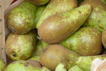 Längliche grün-braune Birnen