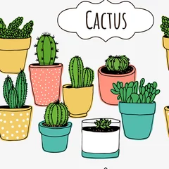 Foto op Plexiglas Cactus in pot Cactus hand drawn vector seamless pattern, plant collection, houseplant illustration isolated on white background