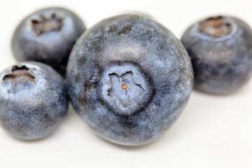 Blueberry fruits isolated in white