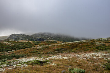 Peer Gynt Trail plateau in norway 