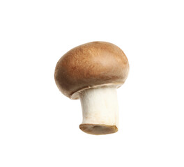 Fototapeta premium Fresh wild champignon mushroom isolated on white