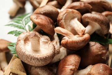 Fresh wild shiitake mushrooms on table, closeup