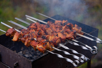 shish kebab on the grill