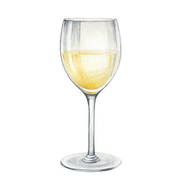 White wine glass watercolor illustration. Hand drawn realistic fresh alcohol beverage element. Cristal clear glass with chardonnay, sauvignon wine on white background. Delicious alcohol grape drink.
