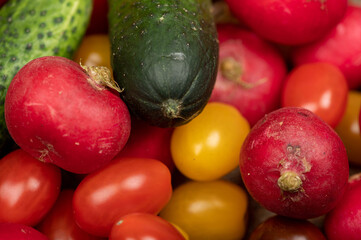 Green cucumbers, ripe radishes and colorful tomatoes scattered on the table. Close-up, selective focus.