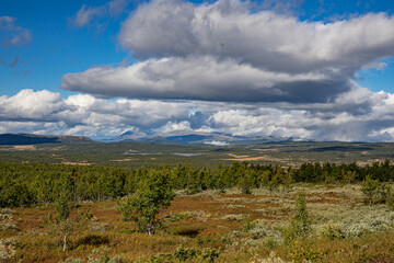 Peer Gynt Trail plateau in norway 