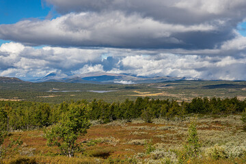 Peer Gynt Trail plateau in norway 