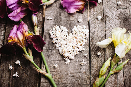 valentines day flowers poster. heart shape white lilac flowers and violet irises on vintage wood table