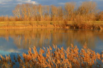 Sunset colors on the lake 