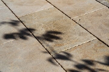 Pavimento. Piedra natural con sombras de flores. Textura. Junta.