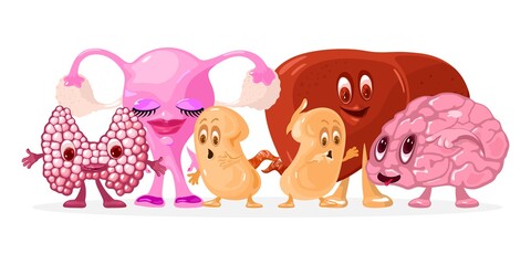Funny collection of anatomical characters with emotions, hands and legs. Vector brain, liver, kidneys, thyroid gland, uterus and ovary for healthcare idea isolated on white background