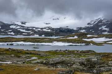 plateau with snow patches in autumn in norway (Sognefjellsveien)