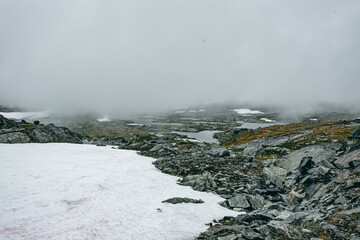 plateau with snow patches in autumn in norway (Sognefjellsveien)