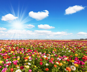 Easter week in Israel