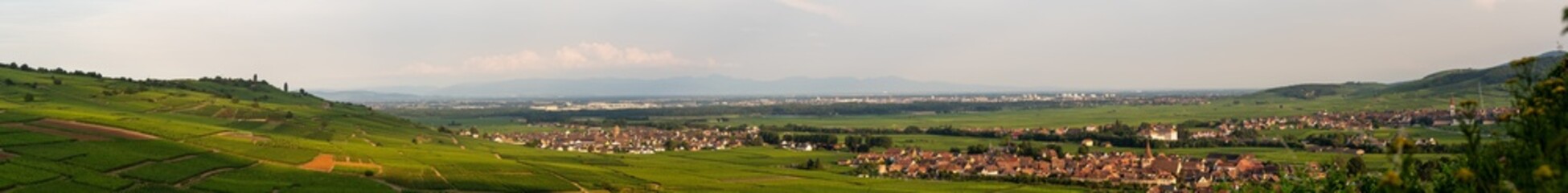 Fototapeta na wymiar Le mont de Sigolsheim, à Kaysersberg, au cœur du vignoble alsacien, Alsace, France
