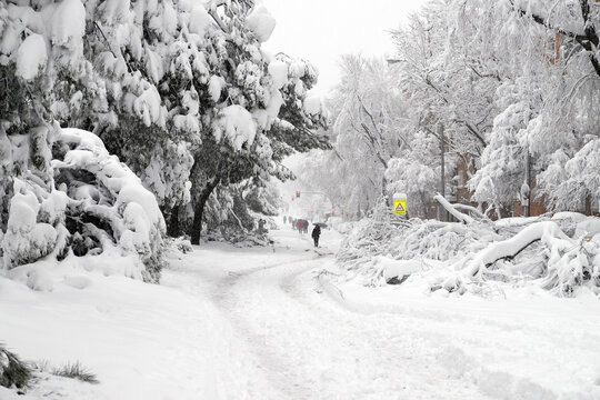 Gran nevada en ciudad de Madrid