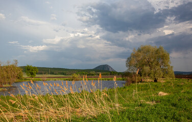 Dry reeds and trees on the green shore of a small reservoir. In the background a single mountain.