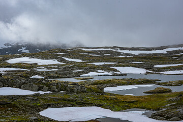 plateau with snow patches in autumn in norway (Sognefjellsveien)