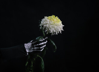 Photo poster for the celebration of Halloween on a dark background: a white aster flower and a...